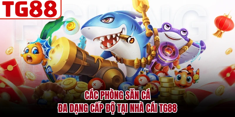 Các phòng săn cá đa dạng cấp độ tại nhà cái TG88