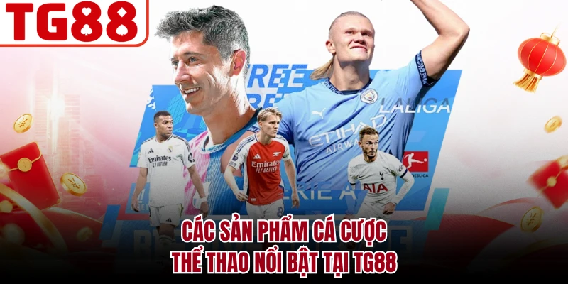 Các sản phẩm cá cược thể thao nổi bật tại TG88