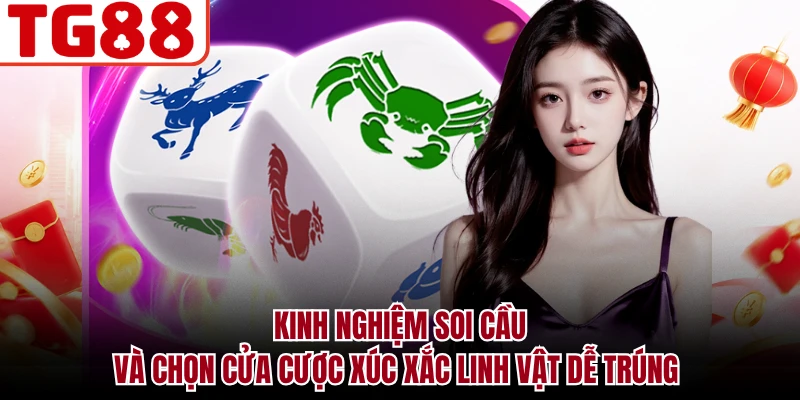 Kinh nghiệm soi cầu và chọn cửa cược xúc xắc linh vật dễ trúng